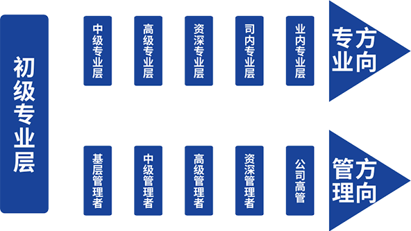 职位发展